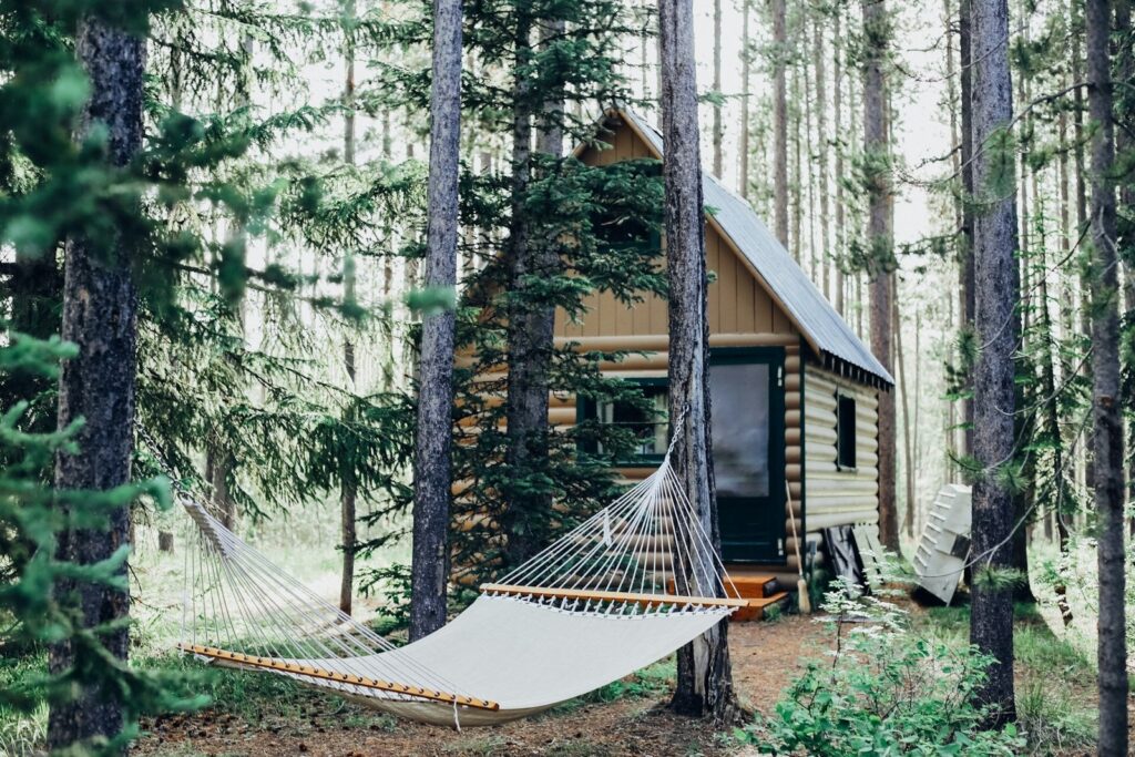 Microvilla